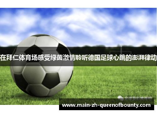 在拜仁体育场感受绿茵激情聆听德国足球心跳的澎湃律动