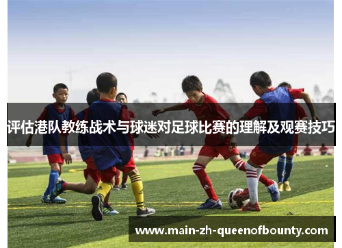 评估港队教练战术与球迷对足球比赛的理解及观赛技巧